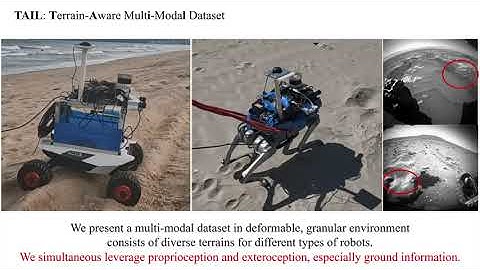TAIL: A Terrain-Aware Multi-Modal SLAM Dataset in Deformable, Granular Environments