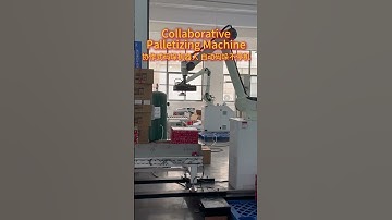 Collaborative Palletizing Robot Machine