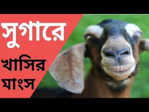 ভিডিও: বেরি কি ডায়াবেটিস রোগীদের জন্য ভালো?