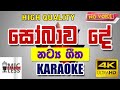 Sobawa de Karaoke | සෝබාව දේ - කැරෝකේ | Rodni Warnakula | රොඩ්නි වර්ණකුල - without voice