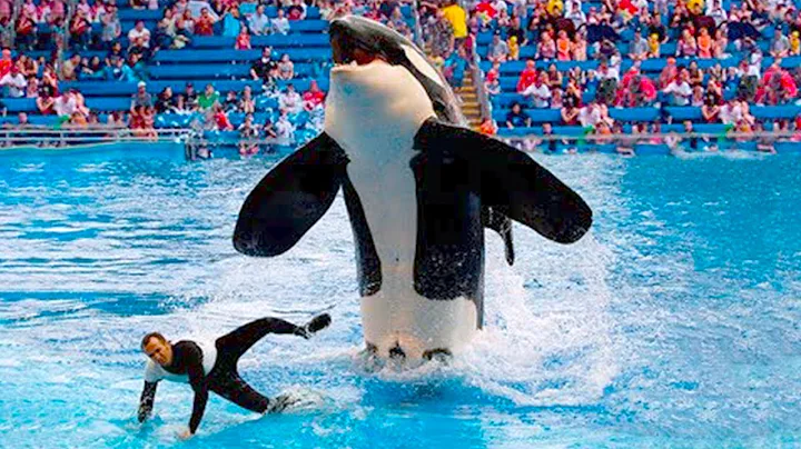 15 Things Seaworld Doesn't Want You To Know