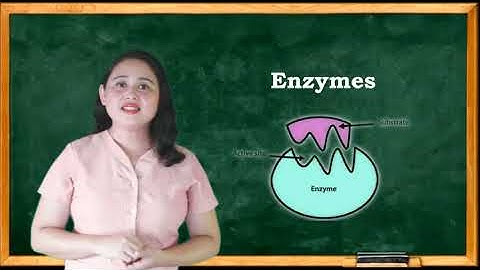 Module 7 Biological Macromolecules Part 1  mp4
