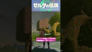 【ゼルダの伝説・ティアキン】ハイリアの盾+αでパリーもジャスト回避も不要｜ポンコツ ゲーム実況・攻略「ティアーズ オブ ザ キングダム｜Tears of the Kingdom」#shorts