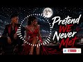 Pretend We Never Met