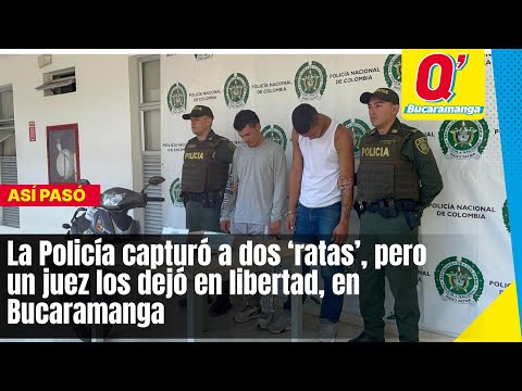 La Policía capturó a dos ‘ratas’, pero un juez los dejó en libertad, en Bucaramanga