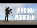 Norfolk Birding 14-20th/12/20