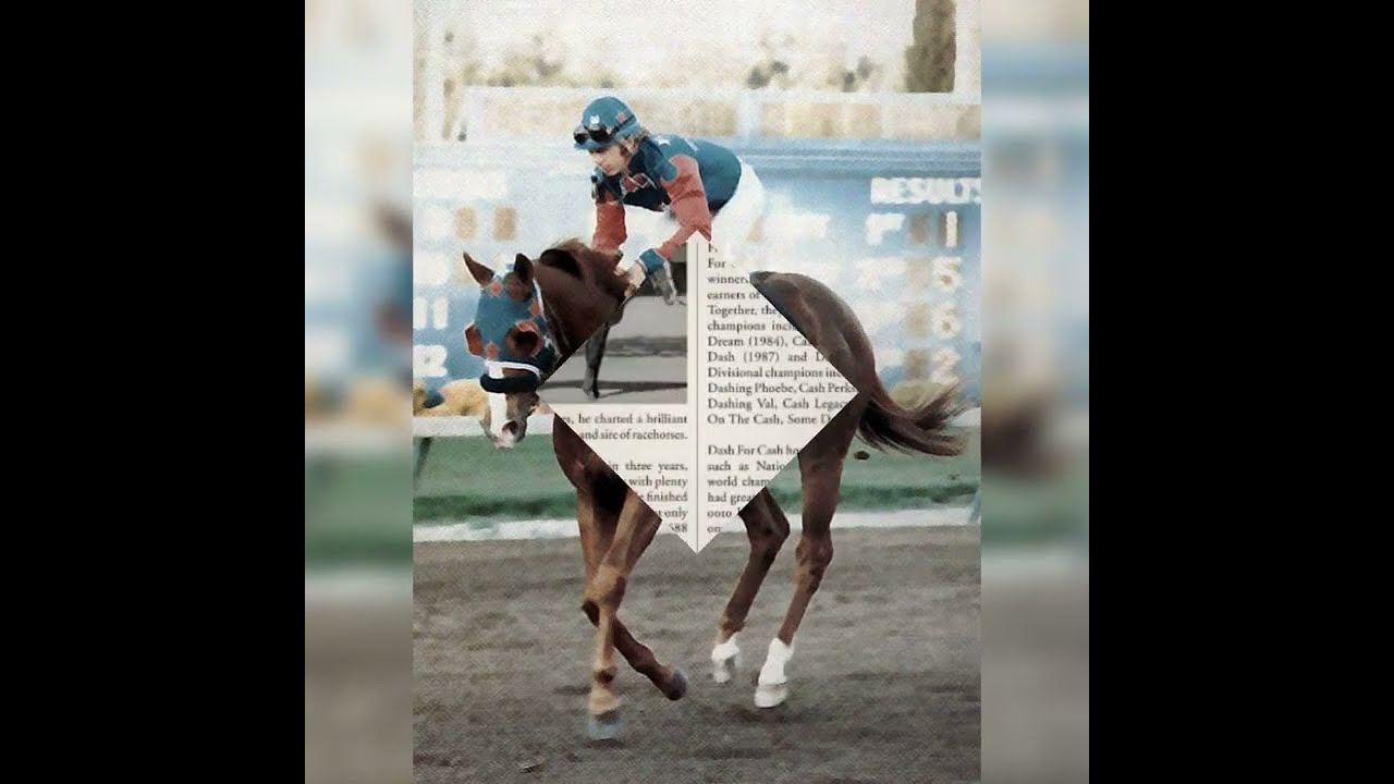 Dash For Cash USA Winner Horse Champions Sires 