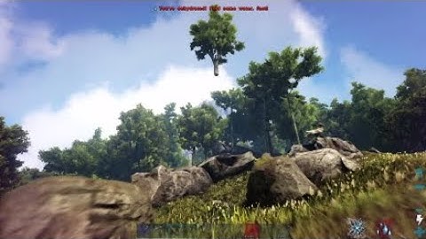 Ark floating tree