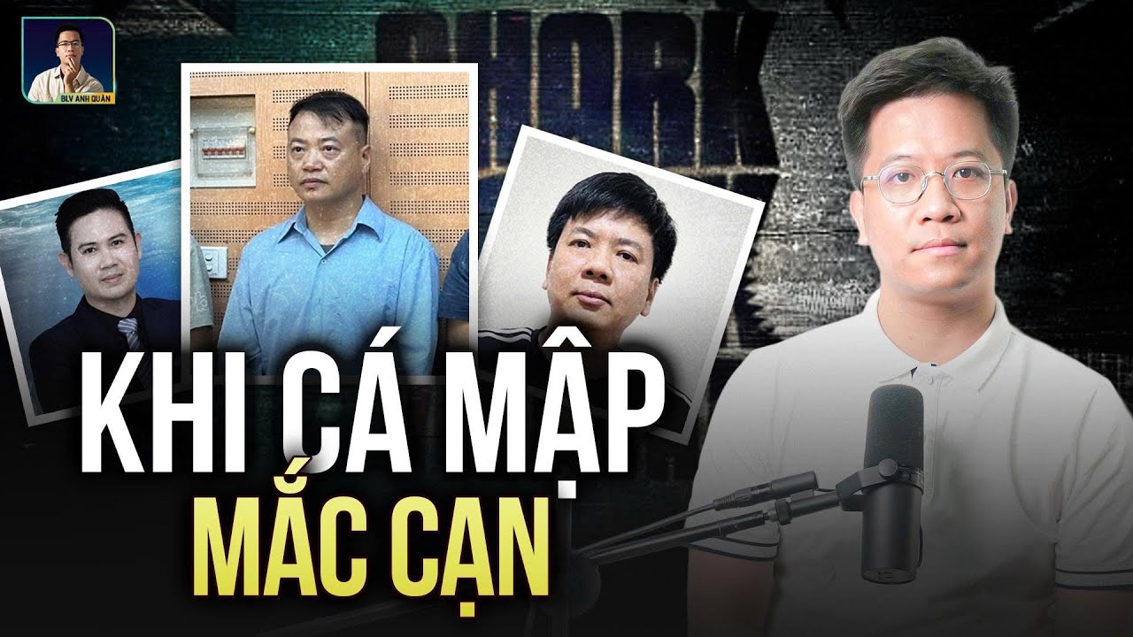 Nhìn Lại Số Phận 3 “Cá Mập” Của Shark Tank Bị Bắt: “Shark Bình” Vẫn Cứ Chiếm Trọn Spotlight