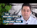 The Nocebo Effect and Chronic Back Pain Cure - Dr. John Sarno MD