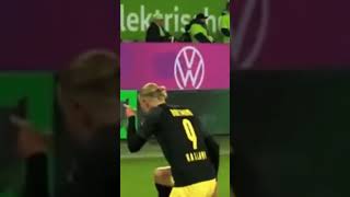 Haaland Mocking A Wolfsburg Fan!