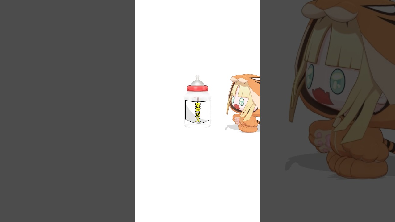 #虎のいる生活