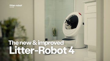 Get to know the new & improved Litter-Robot 4 | Self-cleaning litter box