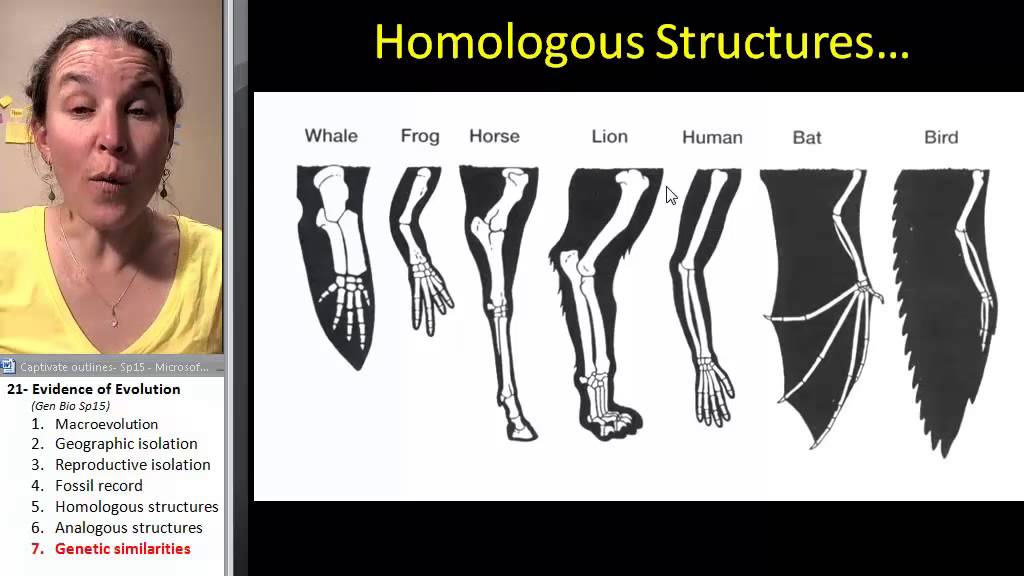 Evidence of Evolution 7- Genetic similarities - YouTube