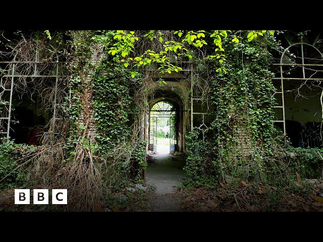 The secret ghost town near New York City | BBC Global class=