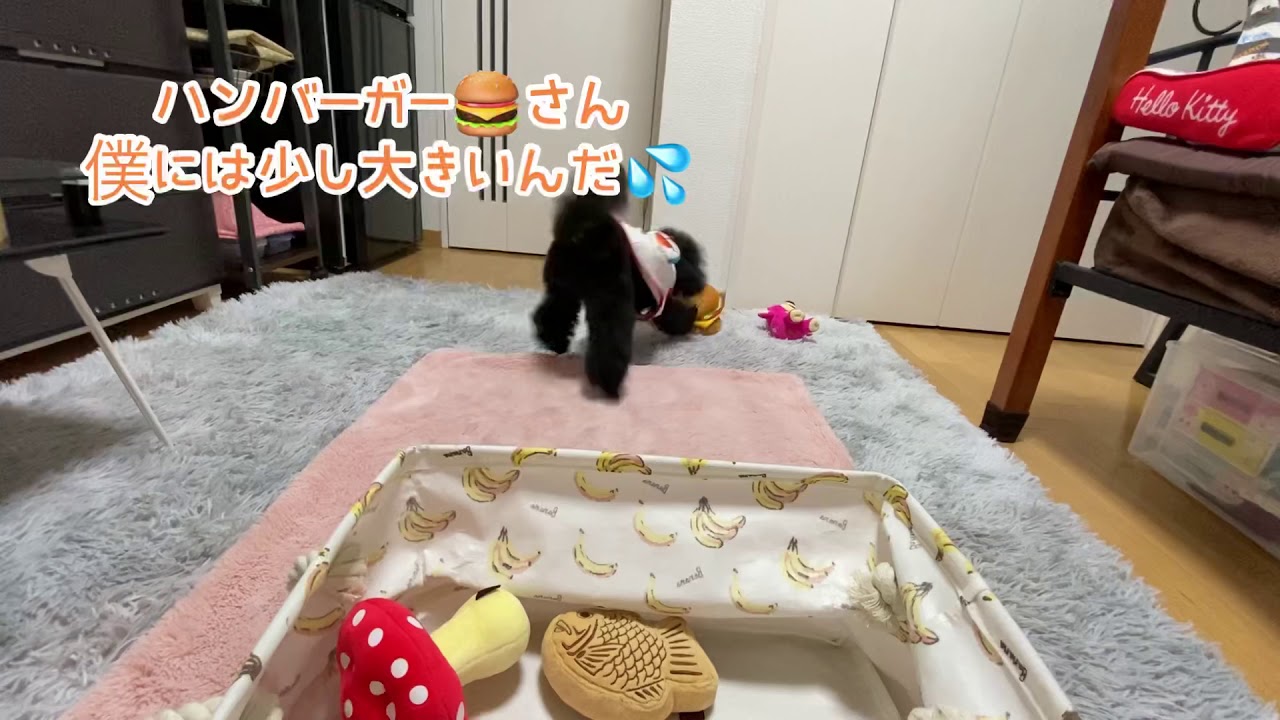 さくら学園 ドッグアミューズメント迎賓館 さくら学園 ドッグアミューズメント迎賓館