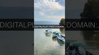 The Hidden Truth Behind Rise of FreeDomain: DigitalPlat FreeDomain: 😱 #shorts