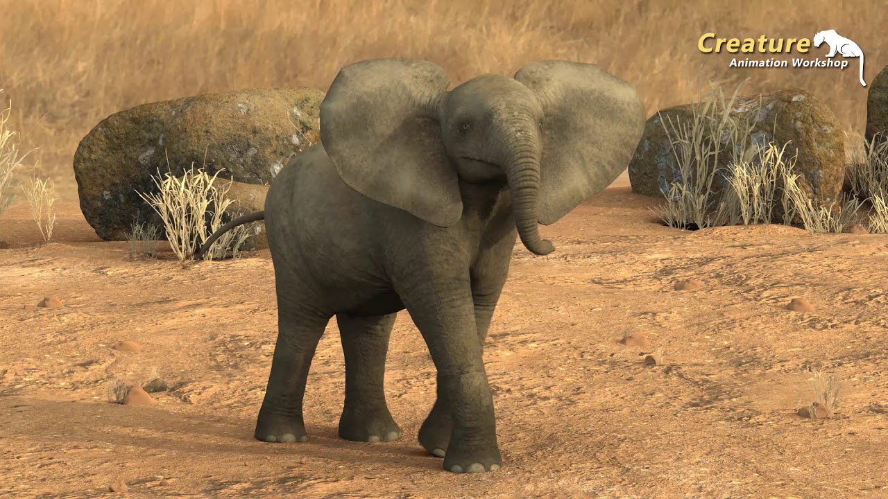 CAW Creature Animation Workshop Bhawesh's baby elephant work.