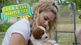 Laki och Edvin överraskar familj med en hundvalp! by MVH SVT 6,383 views 4 years ago 1 minute, 29 seconds