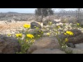 كنصفرة هوائها غيومها تلالها هضابها كل شي فيها يعشق عن أي أوروبا تتحدثون وفي بلادي طبيعة كهذه كنصفرة هوائها غيومها تلالها هضابها كل شي فيها يعشق عن أي أوروبا تتحدثون وفي بلادي طبيعة كهذه