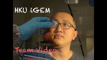 HKU iGEM Team Video 2019 - Dumb Ways To Die (Lab Ver.)