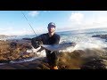 Land based Spanish Mackeral fishing Sunshine coast  & Noosa River GT