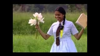 Sinapinivati : Shanika Sumanasekara, 