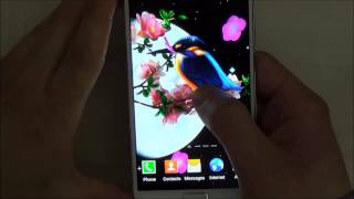 Free Sakura and Bird Live Wallpaper for Android phones and tablets screenshot 1