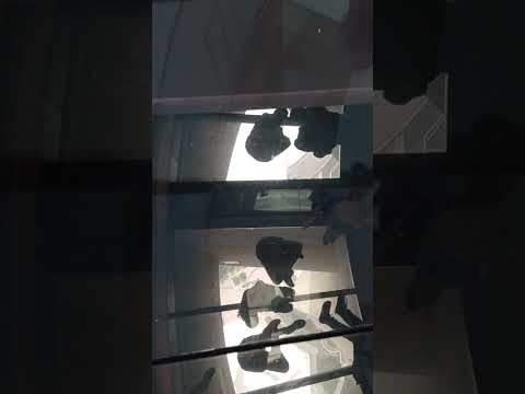 Pancher verre Tour CN