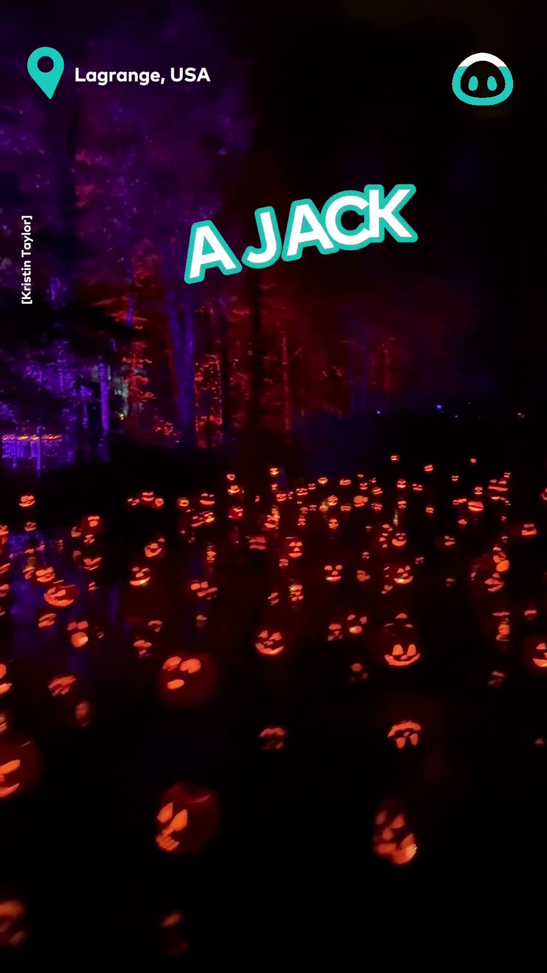 Hundreds Of Jack O'Lanterns || ViralHog