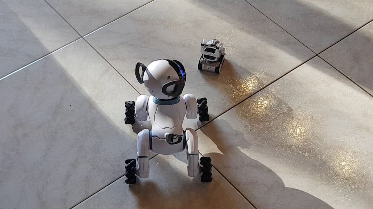 Robot battle Chip versus Cozmo YouTube