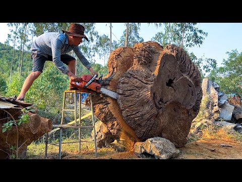 Amazing Extremely Large