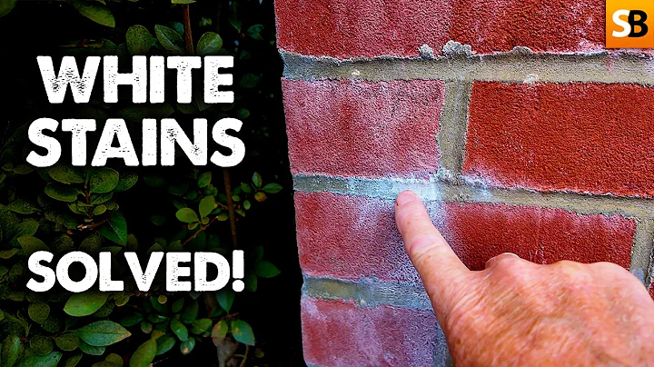 Salt Stains on Brickwork Explained – What Every Homeowner Should Know