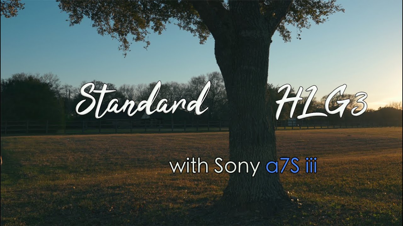 Sony A7s III Standard Vs HLG3 YouTube