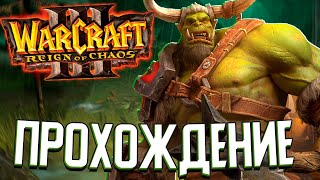 ОРКИ В КАЛИМДОРЕ - Warcraft 3: Reign of Chaos (#4)