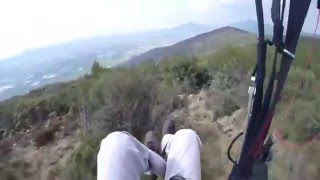Viral Video UK: Paraglider crashes into tree
