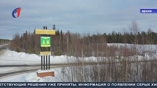 Волки в Пионерском. ТК «Первый Советский»