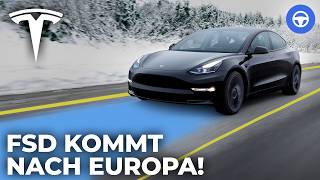 Tesla Model Y bekommt den letzten Platz im TÜV Report...