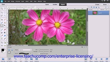 Adobe Photoshop Elements 12 Tutorial Manipulating Images Employee Group Training  13.5