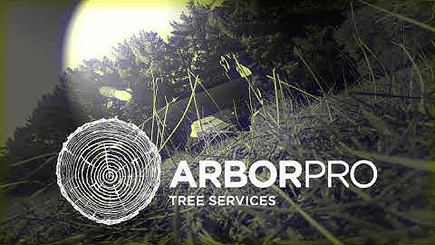 Working Smarter, Not Harder with our Boxer950hd Skid steer machine.....