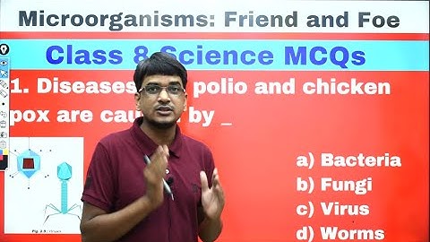class 8 science chapter 2 microorganisms friend and foe  mcq objective quiz