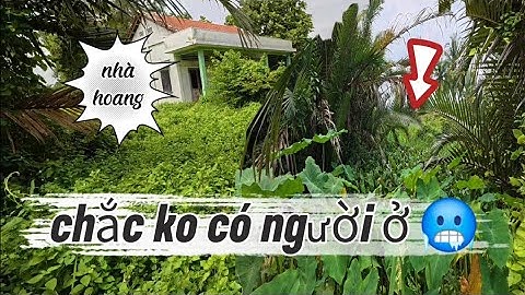 CÂU CÁ RÔ ĐỒNG,Địa Hình NTN Có Cá Ko Nhỉ.Trung Miền Tây.318