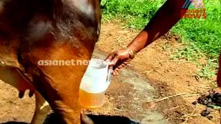 NallaMannu: 2014 videos - Nalla Mannu  14th June 2014 | Cattle Breeding Policy  in Kerala Part 2