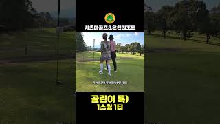 골린이 특) 1스윙 1티😭