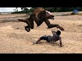 Temple Run In Real Life || Crazy Animation Videos || End of year 2019