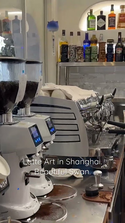 Latte Art in Shanghai. Beautiful Swan. #shanghai #latteart #china #coffee