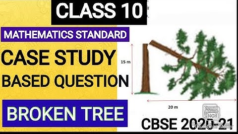 Cbse Class10|Case Study Based Questions|Some Applications of Trigonometry