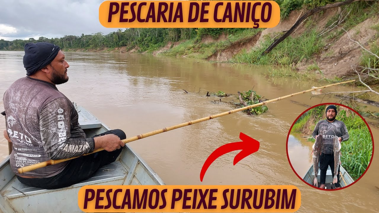 PESCARIA DE CANIÇO - PESCAMOS PEIXE SURUBIM