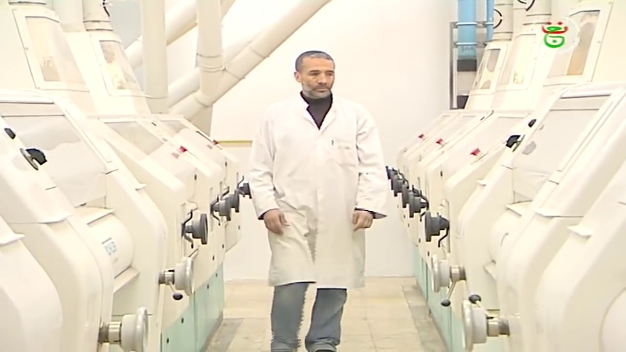 الجزائر سطيف مطاحن  سميد التل  مؤسسة رائدة ونموذج ناجح في الصناعات الغذائية