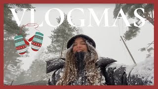 VLOG #35. Новогодний Петербург, ужин H&M, модная премия Best Dressed 2019, коллекция IKEA MARKERAD